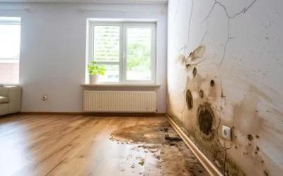 🏠 ¿Cuál es el plazo para dar un parte al seguro de hogar?