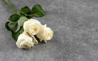 ⚰️ Diferencias entre inhumación, incineración y cremación: qué opción elegir